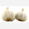 [Picture of two bulbs of Garlic]