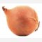 [Picture of an onion]